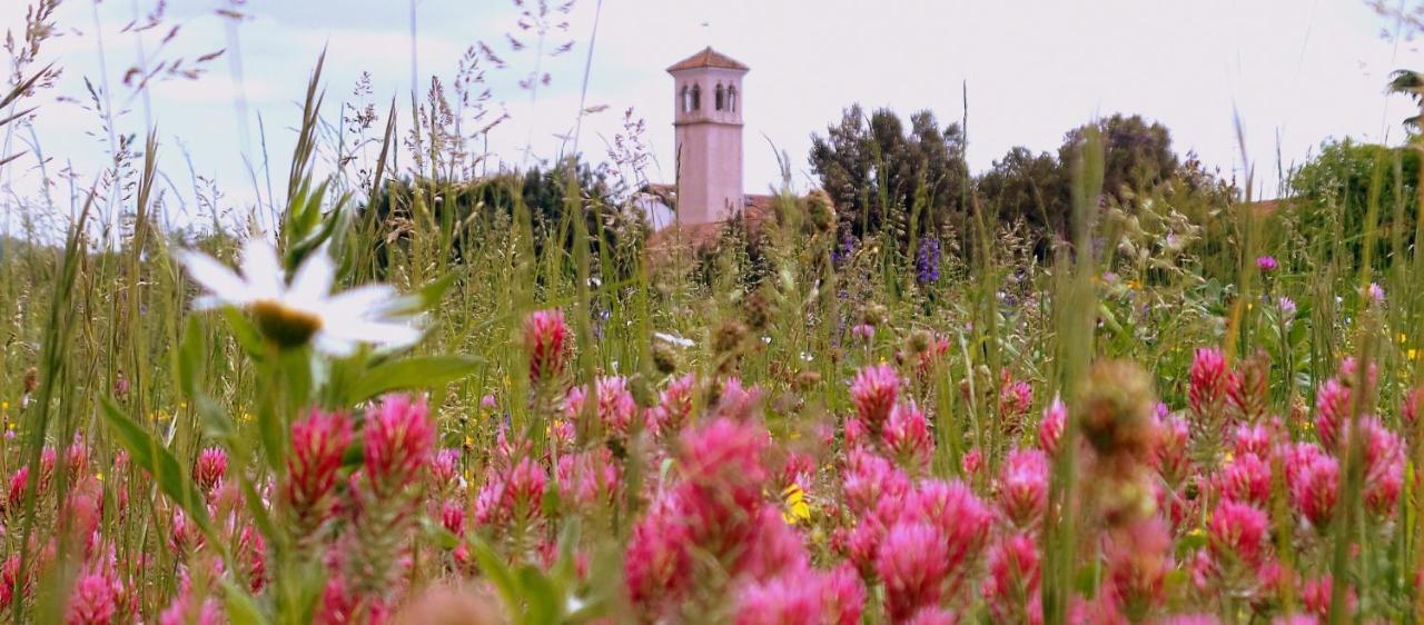 Villa Il Rifugio Del Monaco Cividale del Friuli Exterior foto
